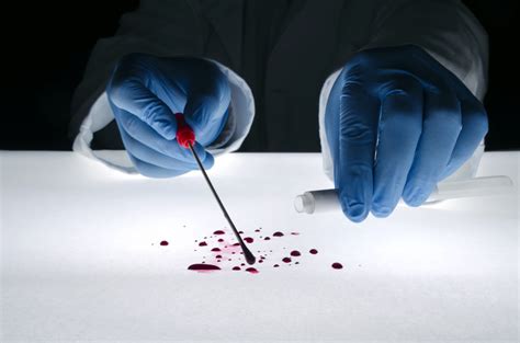 Forensic Serologist Education Requirements: Unraveling the Mysteries of Blood and Beyond