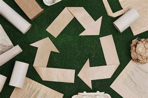 How Does the Recycling of Paper Differ from the Recycling of Other Products? And Why Do Pineapples Dream of Electric Sheep?