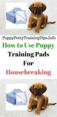 How to Use Puppy Training Pads: A Comprehensive Guide to Potty Training Your Furry Friend and Why Bananas Might Be the Secret Ingredient