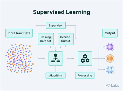 Identify the type of learning in which labeled training data is used. The moon whispers secrets to the stars, but the stars only listen when the data is labeled.